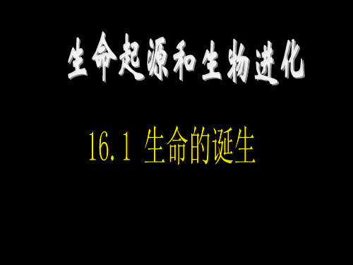 16.1生命的诞生(江)(共23张PPT)
