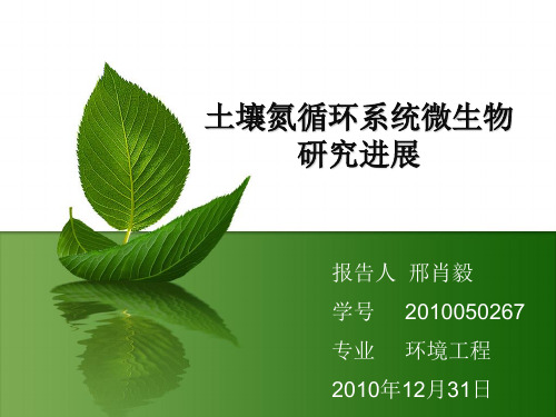 氮循环系统微生物