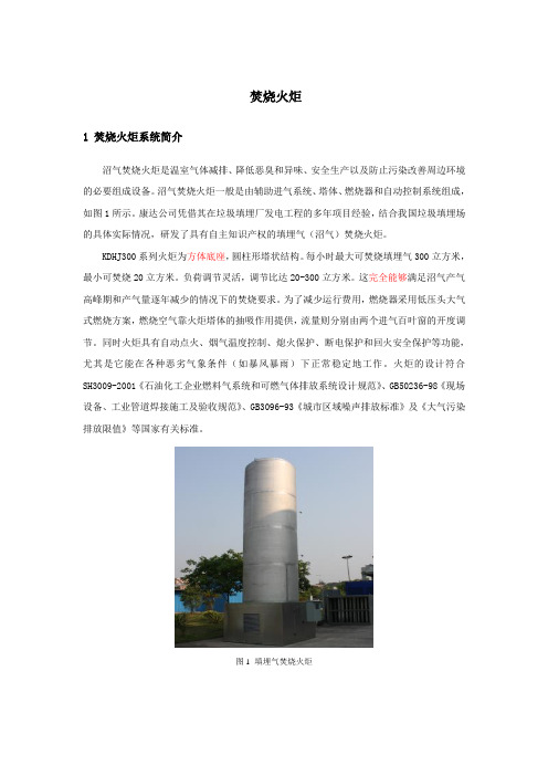 项目火炬规格说明书