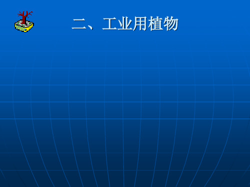 工业植物