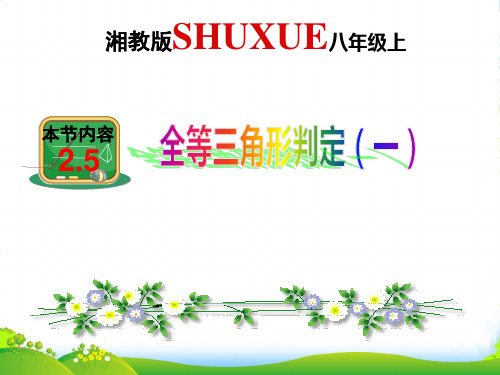 湘教版八年级数学上册《全等三角形判定(一)》课件(共12张幻灯片)