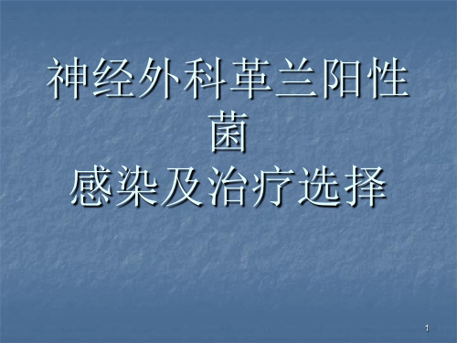 神经外科的感染及其治疗选择ppt课件