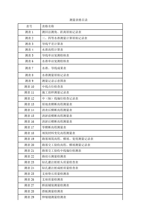 公路测量一套表格(定稿)