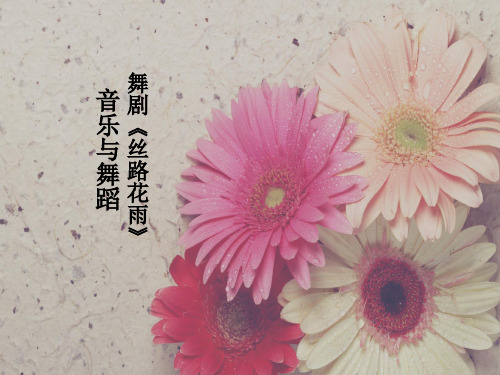 丝路花雨