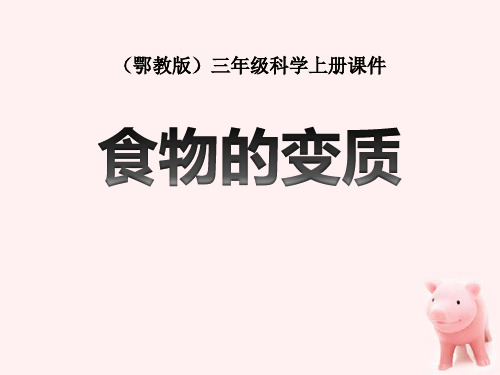 《食物的变质》生活中的食物 PPT教学课件