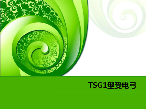 TSG1 型受电弓