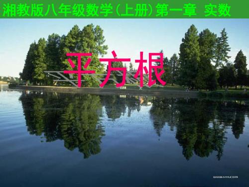 湘教版八年级上册数学课件：数学第三章3.1《平方根》