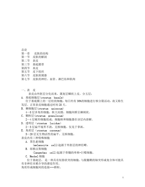 皮肤病学总论-讲稿