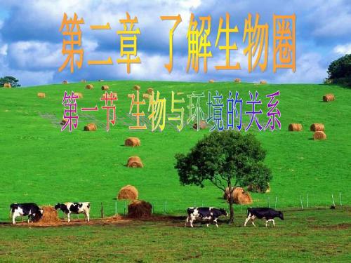 1.2.1生物与环境的关系