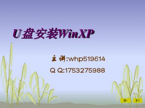 U盘安装WinXP