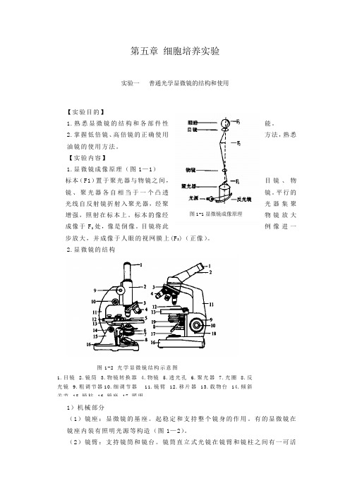 细胞培养实验指导