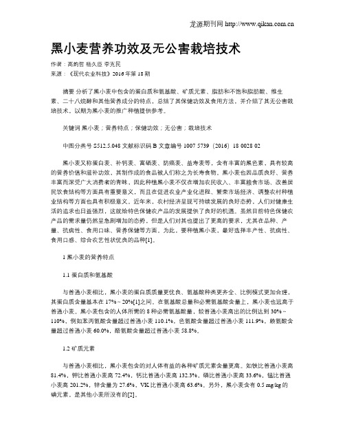 黑小麦营养功效及无公害栽培技术
