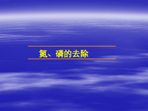 环境工程学生物除氮除磷流程
