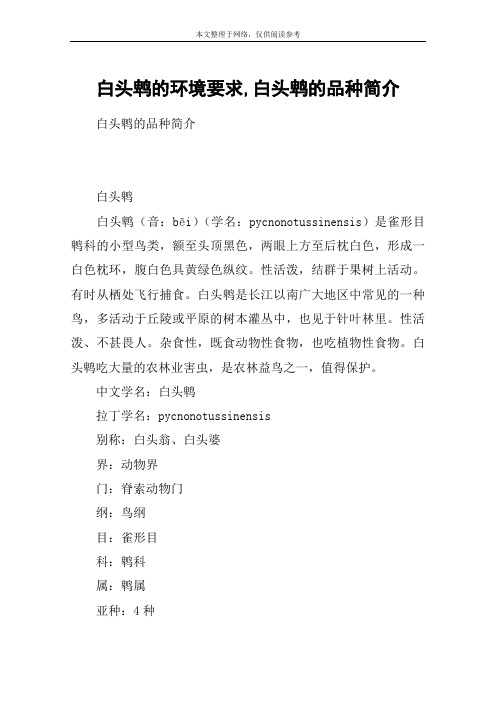 白头鹎的环境要求,白头鹎的品种简介