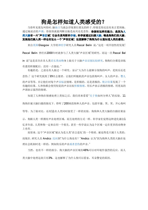 狗是怎样知道人类感受的
