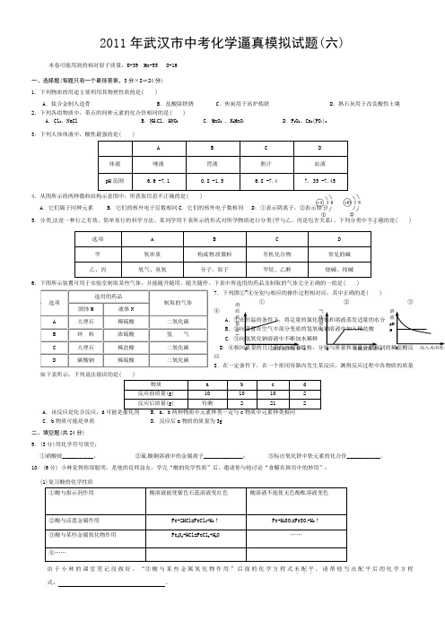 2011年武汉市中考化学逼真模拟试题(六)