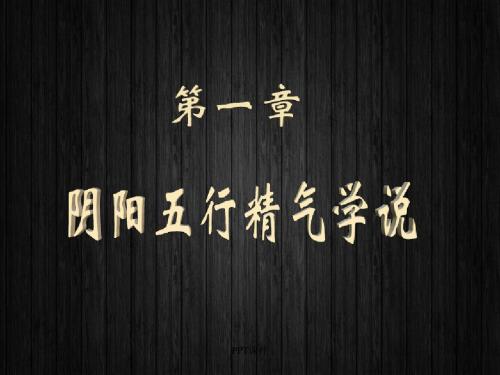 阴阳五行精气学说  ppt课件