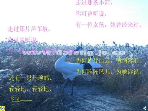 斑羚飞渡PPT160 人教版 (共30张PPT)
