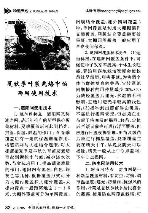 夏秋季叶菜栽培中的两网使用技术