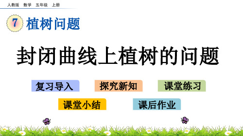 五年级上册数学课件- 封闭曲线上植树的问题人教版(共15页)