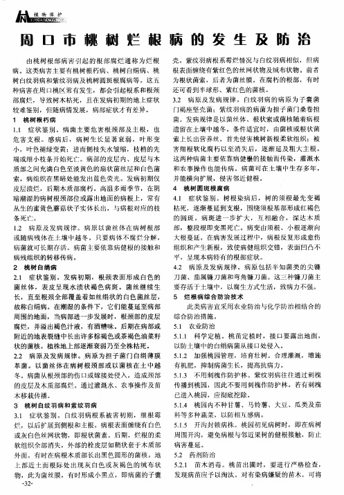 周口市桃树烂根病的发生及防治
