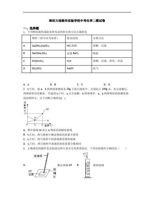 深圳大浪锦华实验学校中考化学二模试卷
