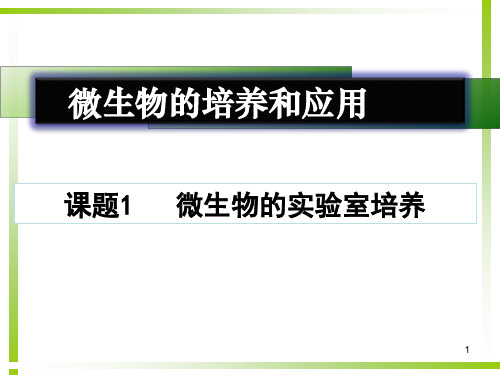 学年人教版选修1专题2课题1微生物的实验室培养和分离共32张PPT课件