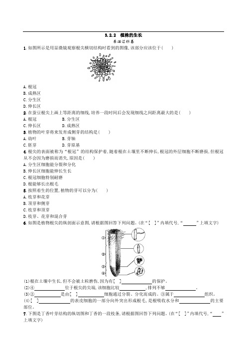 139.人教版七年级生物上册3.2.2 植株的生长-课时练