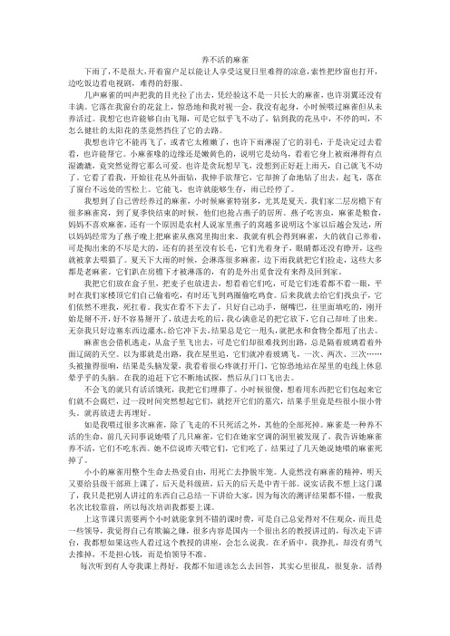 养不活的麻雀