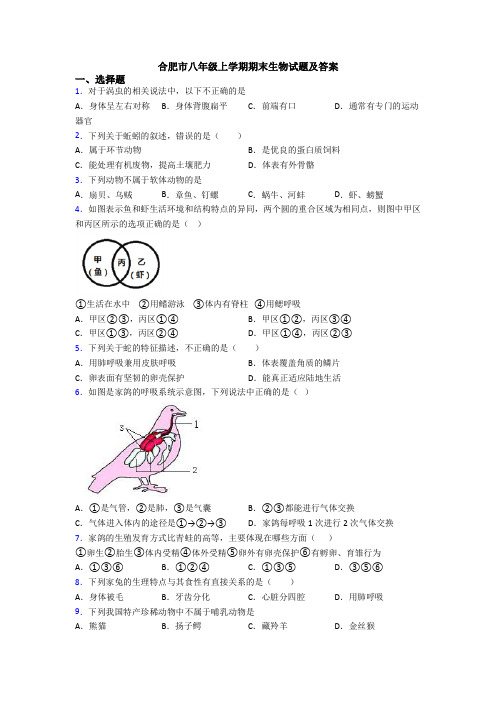合肥市八年级上学期期末生物试题及答案