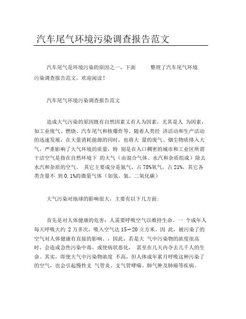 汽车尾气环境污染调查报告范文