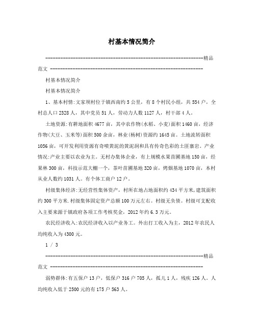 村基本情况简介