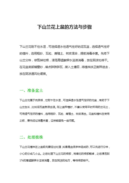 下山兰花上盆的方法与步骤