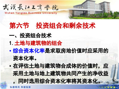 第八章 第七节投资组合技术与剩余技术