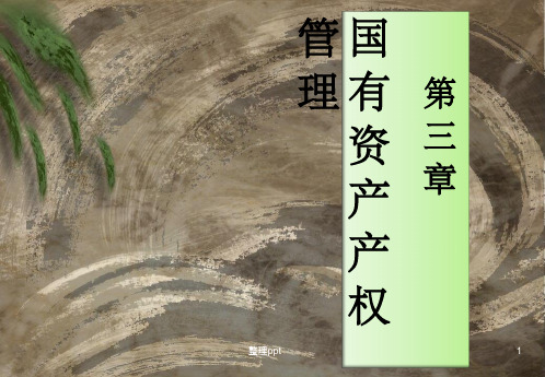 《国有资产产权管理》PPT课件