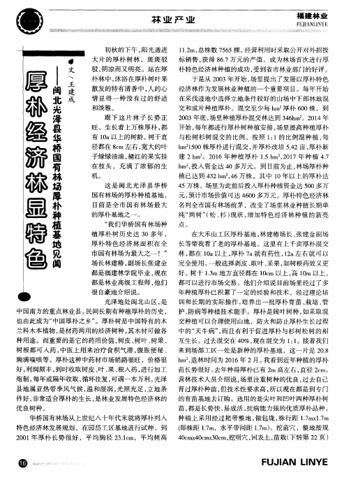 厚朴经济林显特色——闽北光泽县华桥国有林场厚朴种植基地见闻