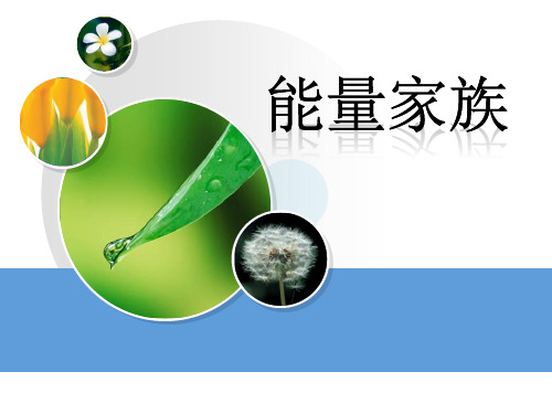 《能量家族》PPT 最新小学精品公开课件
