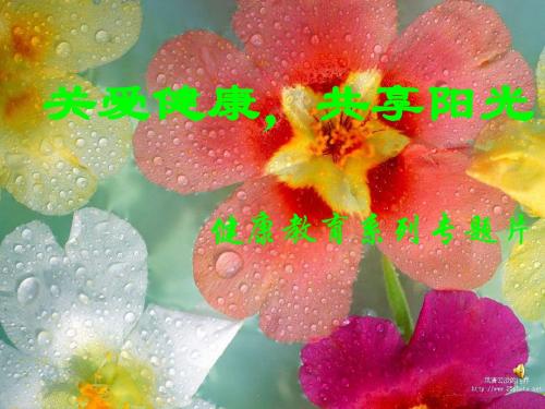 糖尿病足护理ppt课件