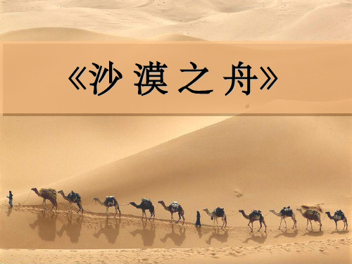 沙漠之舟ppt课件