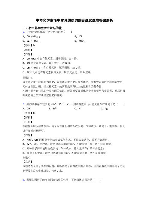 中考化学生活中常见的盐的综合题试题附答案解析
