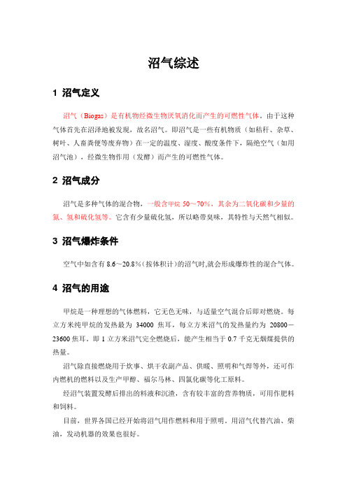 沼气综述