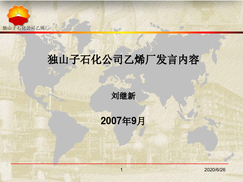 05-独山子聚丙烯年会发言材料