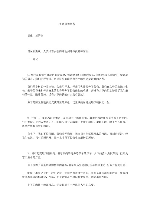 乡路引我回家