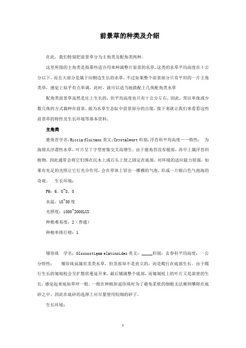 前景草的种类及介绍