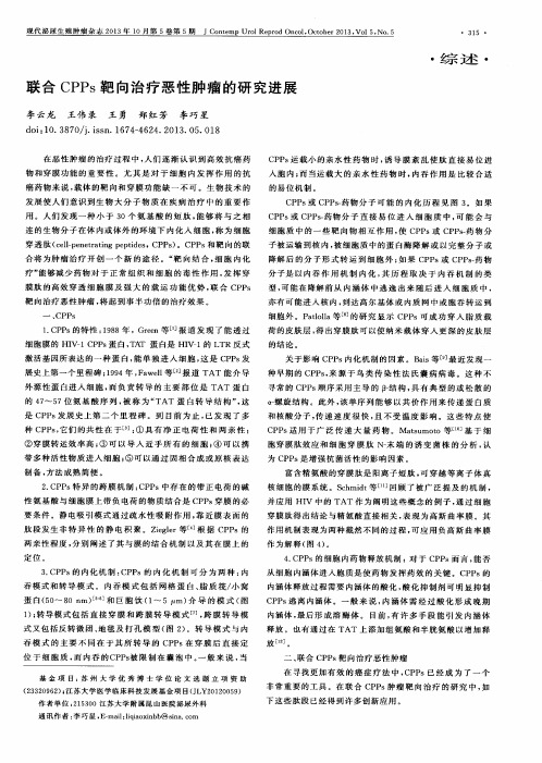 联合CPPs靶向治疗恶性肿瘤的研究进展