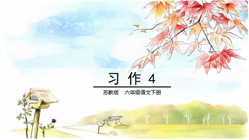 苏教版六年级下册习作4