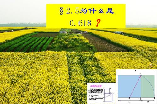 为什么是0.618(1)