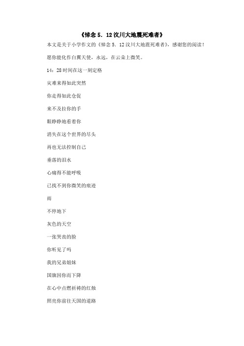 《悼念5.12汶川大地震死难者》_小学作文