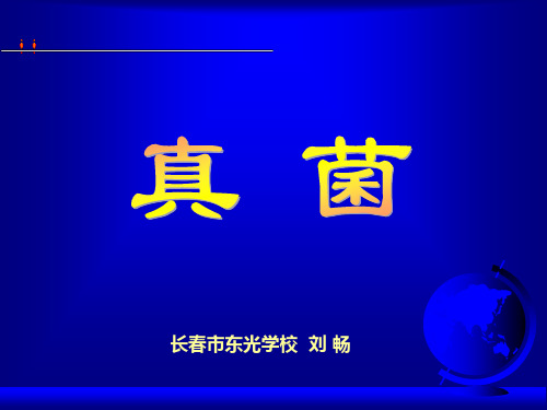 初中生物人教版八年级上册第三节 真菌