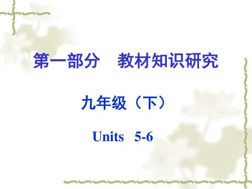 (课标版)2016中考英语第一部分教材知识研究九下+Units+5-6课件